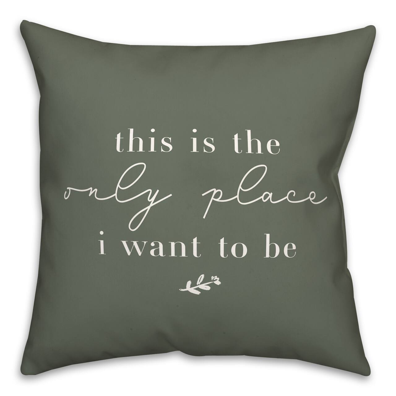 18" x 18" Only Place Versatile Throw Pillow